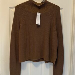 Eileen Fisher Rich Brown Turtleneck Sweater